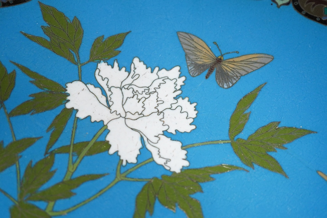 A Japanese cloisonné enamel charger, Meiji period, decorated with butterflies and flowers, 46cm diameter